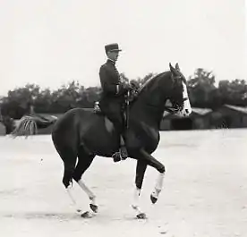 Image illustrative de l’article Gérard de Balorre