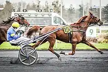 Victoire de Belina Josselyn et Jean Michel Bazire dans le Grand Prix de Belgique 2020.
