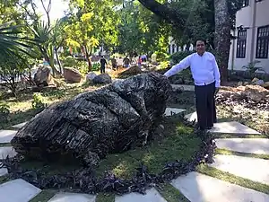 Grosse roche avec foliations devant le département de géologie
