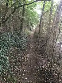 Le GRP du Val de Creuse entre Fresselines et le Pont des Piles en 2018.