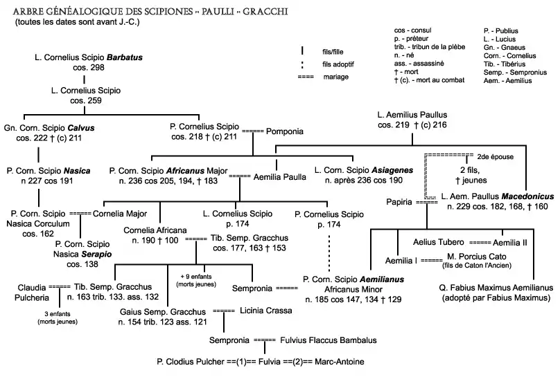 Arbre généalogique des Scipiones Paulli Gracchi