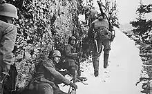 Consulter les données associées à cette image, dont la description suit ci-après