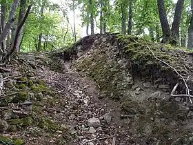 Image illustrative de l’article Château du Gigersbourg