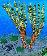 Dessin paléoartistique de deux Gogia ojenai