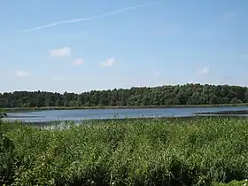 Image illustrative de l’article Gothensee