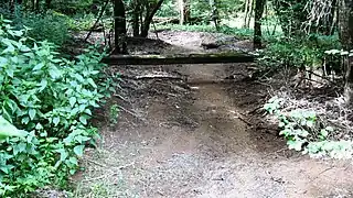 Perte de la Laigne en forêt de Puits.