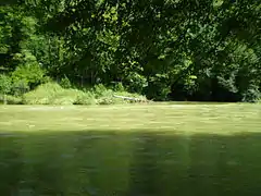 La Bienne en crue (250&nbsp;m3/s) au lieu-dit le Gour au Moines à Vaux-lès-Saint-Claude).