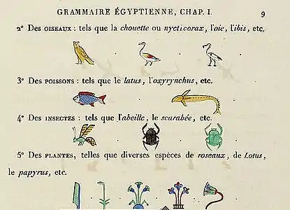Grammaire égyptienne, chapitre I, p.&nbsp;9