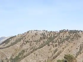 Image illustrative de l’article Cime du Grand Braus