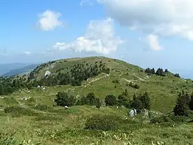 Le Grand Crêt vu depuis le crêt de la Neige.