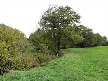 Le cours du ruisseau du Grand Varaine au nord-est du lieu-dit le Pré Danton.