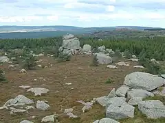 Paysage de landes, chaos granitiques et forêts de conifères.