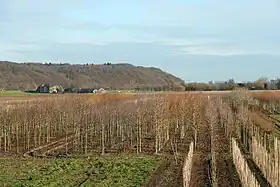 Grebbeberg vu du sud.