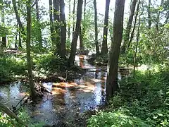 Parc naturel Dahme-Heideseen (de) en Brandebourg (Allemagne), 2013