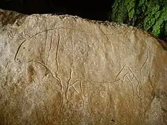 Gravure d'un taureau dans la Grotte du Romito en Calabre qui présente des traces d'occupation humaine s'étendant du Paléolithique supérieur (25&nbsp;000&nbsp;ans) au VIIe&nbsp;millénaire&nbsp;av. J.-C. On retrouve de grandes quantités d'obsidienne, ce qui émet l'hypothèse que la grotte était une base importante pour le commerce de l'obsidienne entre la mer Tyrrhénienne et la mer Ionienne.