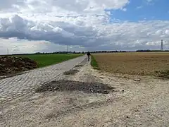 Le secteur pavé de Gruson, du Paris-Roubaix.