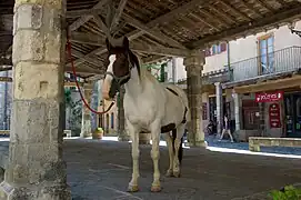 Halle (XIVe&nbsp;siècle).