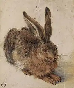 Hans Hoffmann, Lièvre (copié de Dürer), 1582, aquarelle sur papier, 216&nbsp;×&nbsp;183&nbsp;mm, Brême, Galerie Neuse, portant l'inscription « Hh 1582 ».
