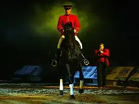 Démonstration d'un cavalier des Haras Nationaux à Cheval passion