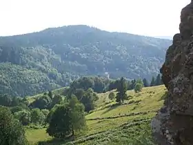 Vue du Haut du Roc depuis la Piquante Pierre.