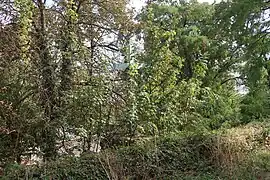 Croix au sommet de l'escalier (vue de derrière).