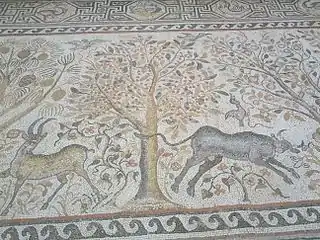 L'un des nombreux Arbres de vie des mosaïques de sol byzantines de la basilique de Heraclea Lyncestis, Macédoine, VIe&nbsp;siècle.