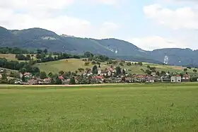 Herbetswil