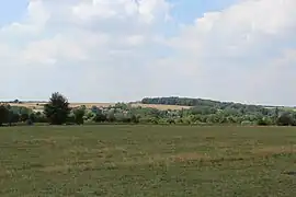 Panorama du village niché dans la verdoyante vallée de l'Escaut.