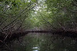 Le Taco, près de l'accueil des visiteurs du parc (Nibujón&nbsp;(en))