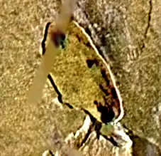 Image illustrative de l'article Estan Patera