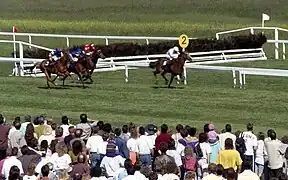 Hippodrome d'Iffezheim.