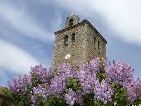 Navas de San Antonio