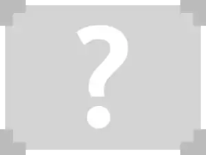 Premier logo utilisé en 2010