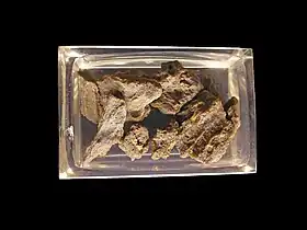 Image illustrative de l'article Cratère d'Aouelloul