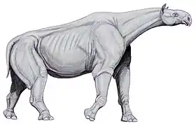 Reconstitution de Paraceratherium transouralicum (Paraceratheriidae).
