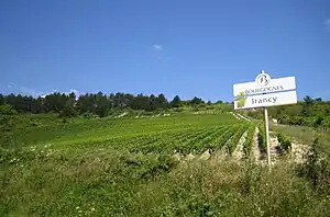 Image illustrative de l’article Irancy (AOC)