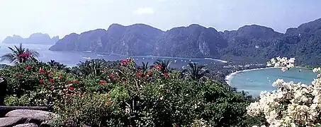 Kho phi phi