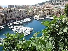 Fontvieille.