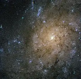 Image illustrative de l’article NGC 7793