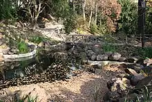 Umělé jezírko obklopené balvany. Přes jezírko vede dřevěný mostek.