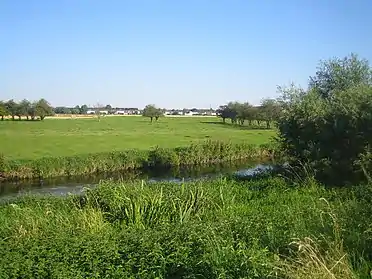 Image illustrative de l’article Mélantois