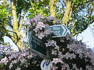 Dans l'East Lothian, panneaux directionnels pour la John Muir Way&nbsp;(en) et marquage fixé pour le sentier de la mer du Nord
