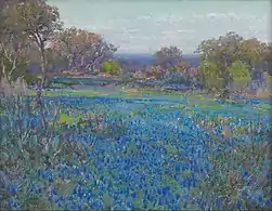 A field of Blue Bonnets, late afternoon sunlight, 1920, Panhandle–Plains Historical Museum&nbsp;(en)