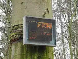 Abendtreffen an der Lichtung – Harrys Abschied, Blalla W. Hallmann (de)