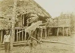 Femme et art Apo Kayan people&nbsp;(en)