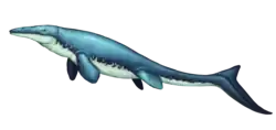 Reconstitution graphique d'un reptile marin du groupe éteint des mosasaures.