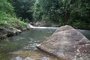 Rivière de montagne, la Kaveri dévale torrentueusement les montagnes du Coorg.