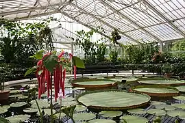 Vue d'ensemble de la serre