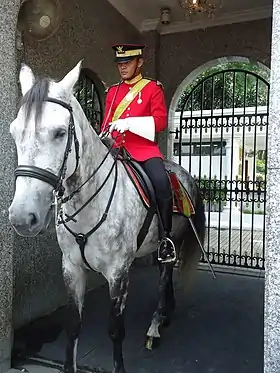 Image illustrative de l’article Cheval en Malaisie