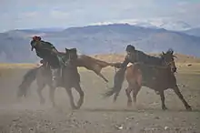 Kokpar, jeu kasakh, à Ölgii